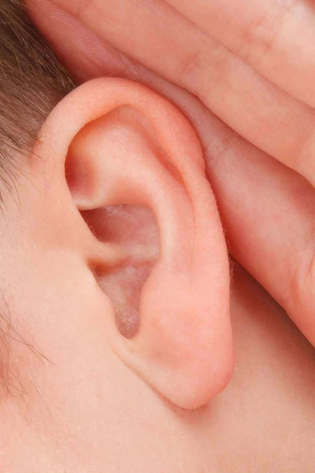 Costco Hearing Aids: Prices, Types, Prices, & Alternatives - HEARITE Love Hearing!